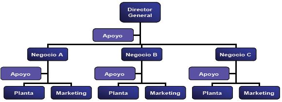 Estructura organizacional de una empresa estratégica