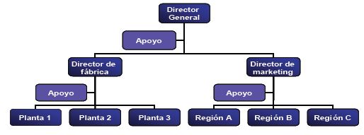 Estructura organizacional de una empresa funcional