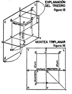 Montea