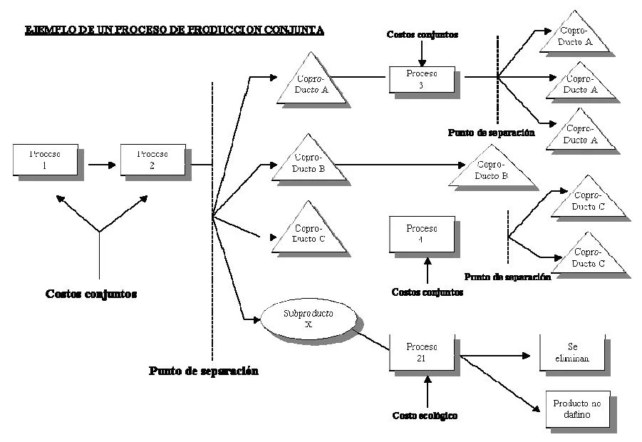 Proceso de producción conjunta