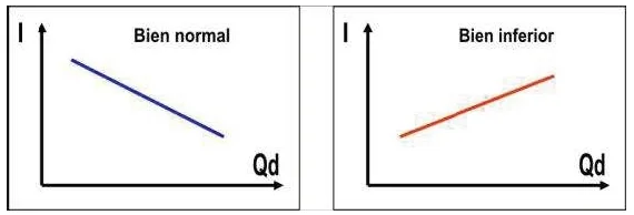 Bien normal- inferior
