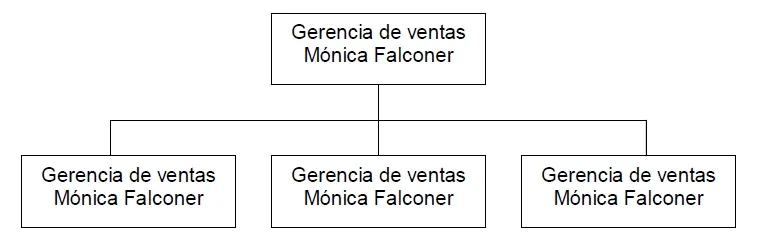 organización, tomando como base el área geográfica