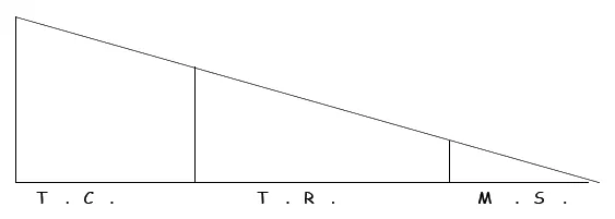 Lote económico