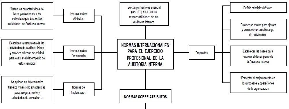Normas internacionales para el ejercicio
