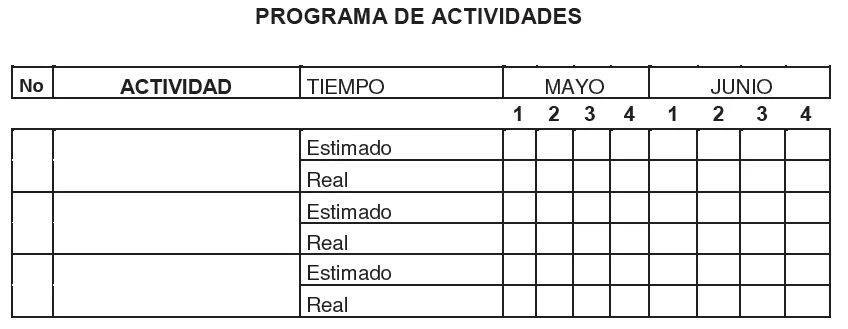 Programa de actividades