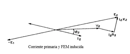 FEM