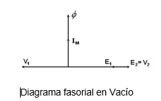 Fasocial en vacio